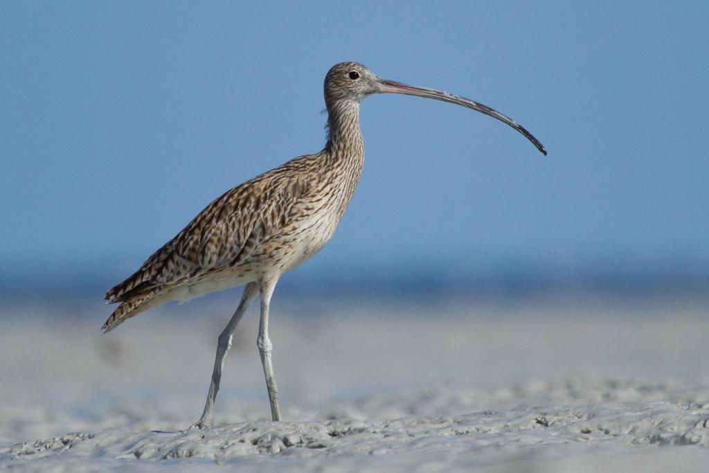 Broome Bird Observatory Екстер'єр фото