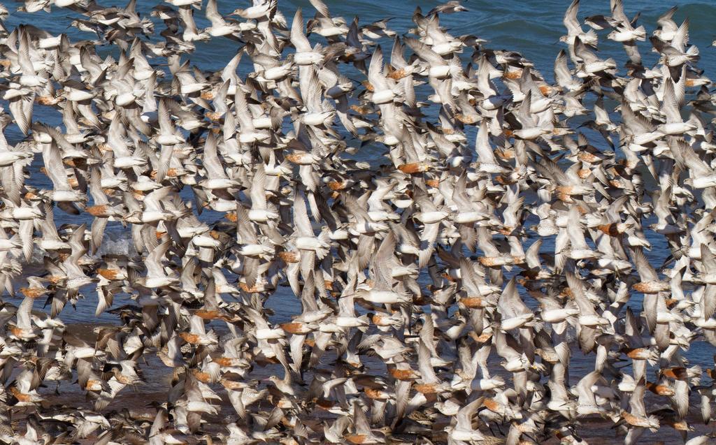 Broome Bird Observatory Екстер'єр фото