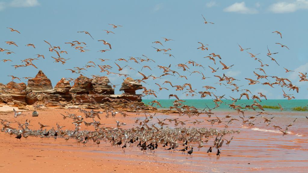 Broome Bird Observatory Екстер'єр фото